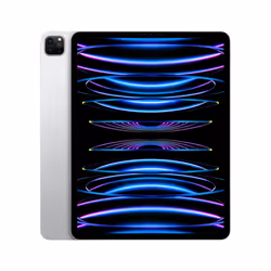 Apple iPad Pro 6th Gen 12.9in Wi-Fi 1000GB - Silver