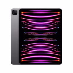 Apple iPad Pro 6th Gen 12.9in Wi-Fi + Cellular 2000GB - Space Grey
