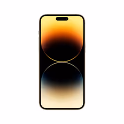 Apple iPhone 14 Pro Max 17 cm (6.7") Dual SIM iOS 16 5G 256 GB Gold