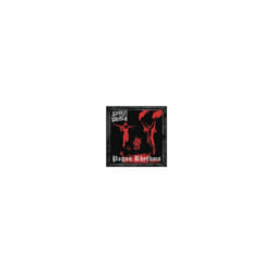 PAGAN RHYTHMS - SPIRITWORLD - CD