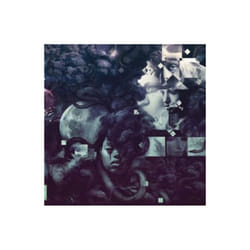 THOUSANDS OF EVILS (FORTE) - VILDHJARTA - CD