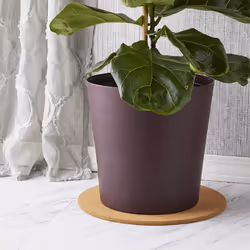 Juvale Plant Cork Mat Round Planter Plate for Home Decor House Plants 12 in 3 Pack