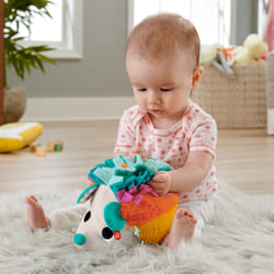 Fisher-Price Cuddle ‘n Snuggle Hedgehog Plush Infant Sensory Toy with Rattle & Crinkle Sounds