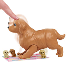 Barbie Doll and Pets