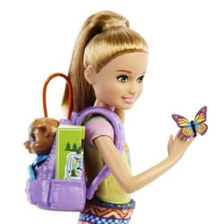 Barbie Dreamhouse Adventures Doll and Accessories