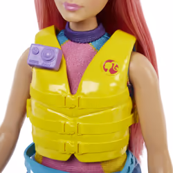 Barbie Dreamhouse Adventures Doll and Accessories