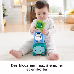 Fisher-Price Hello Hands Play Kit