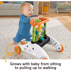 Fisher-Price Baby & Toddler Toy 2-Sided Steady Speed Panda Walker with Smart Stages Learning & Blocks for Ages 6+ Months