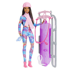 Barbie Doll and Accessory