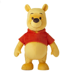 Fisher-Price Disney Winnie the Pooh Your Friend Pooh
