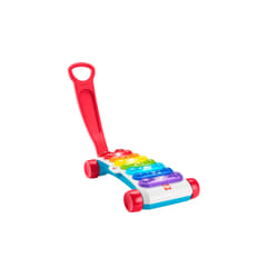 Fisher-Price HJK40 push & pull toy