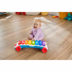 Fisher-Price HJK40 push & pull toy