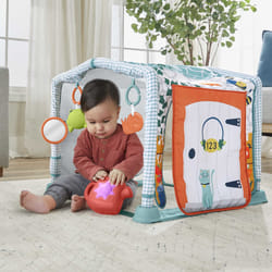 Fisher-Price 3-in-1 Crawl & Play Activity Gym
