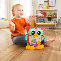Fisher-Price Linkamals Wise Eyes Owl