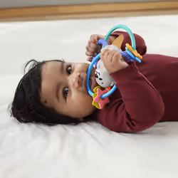 Fisher-Price Twist & Teethe Otter, Boy/Girl, 3 month(s), Plastic, Multicolour