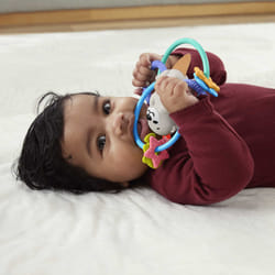 Fisher-Price Twist & Teethe Otter