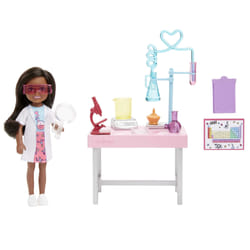 Barbie Chelsea Doll and Accessories