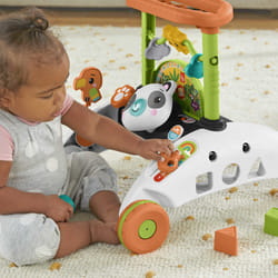 Fisher-Price 2-Sided Steady Speed Panda Walker