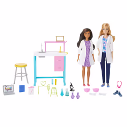 Barbie Dolls and Accessories
