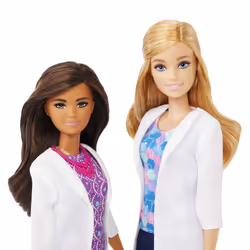 Barbie Dolls and Accessories