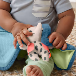 Fisher-Price All Ears Lovey