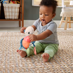 Fisher-Price Sea Me Bounce Turtle