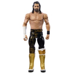 WWE Seth Rollins Action Figure