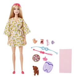 Barbie Fashionistas Doll and Accessories