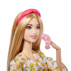 Barbie Fashionistas Doll and Accessories