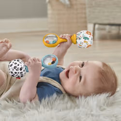 Fisher-Price Rattle 'n Rock Maracas