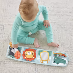 Fisher-Price Fold & Play Activity Panel