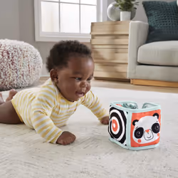 Fisher-Price Fold & Play Activity Panel