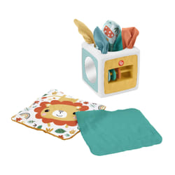 Fisher-Price Paradise Pals Tissue Fun Activity Cube