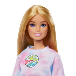 Barbie Doll and Accessories