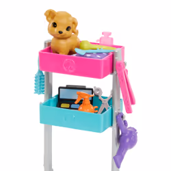 Barbie Doll and Accessories
