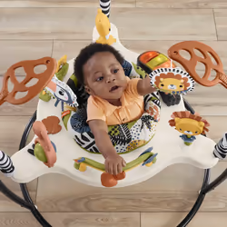 Fisher-Price Palm Paradise Jumperoo