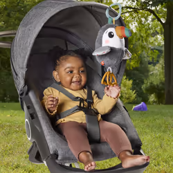 Fisher-Price Flap & Go Toucan