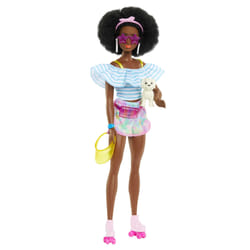 Barbie Doll and Accessories