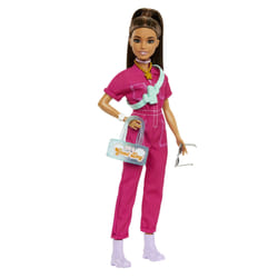 Barbie Doll and Accessories