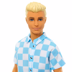 Barbie Doll and Accessories
