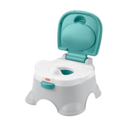 Fisher-Price 3-in-1 Potty