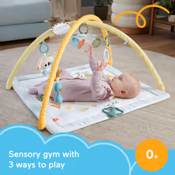 Fisher-Price Simply Senses Newborn Gym - Additional view 8