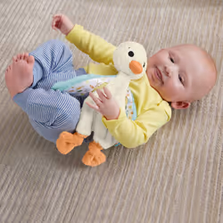 Fisher-Price Fisher Price Snuggle Up Goose Baby Sensory Toy, Plush Toy with Jingles for Newborns