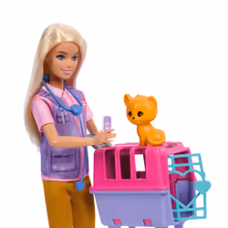 Barbie Doll and Accessories