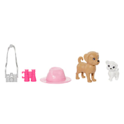 Barbie Doll and Accessories