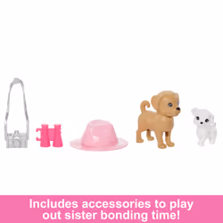 Barbie Doll and Accessories - Additional view 4