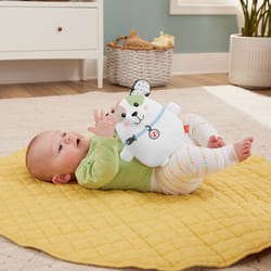 Fisher-Price Calming Vibes Puppy Soother