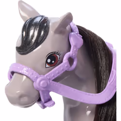 Barbie Chelsea Doll & Horse Toy Set, Includes Helmet Accessory, Doll Bends at Knees to “Ride” Pony