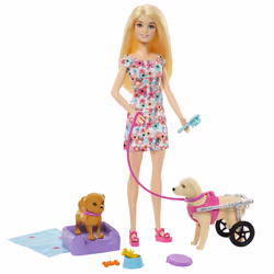 Barbie Doll with a Toy Pup and Dog in a Wheelchair, Plus Pet Accessories, Fashion doll, Female, 3 yr(s), Girl, 300 mm, Multic ...
