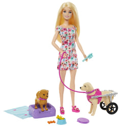 Barbie Doll with a Toy Pup and Dog in a Wheelchair, Plus Pet Accessories